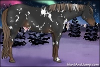 Horse Color:White Spotted Liver Chestnut 