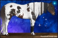 Horse Color:White Spotted Bay  and White Spotted Liver Chestnut Tobiano 