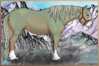 Horse Color:Watercolor Chestnut Splash Frame 