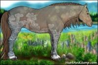 Horse Color:Liver Chestnut Ice 