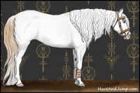 Horse Color:Gold Champagne Roan Dun Splash Tobiano Frame Blanket Rabicano 