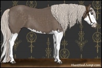 Horse Color:Silver Black Splash