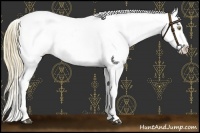 Horse Color:Palomino Near Leopard and Chestnut Near Leopard
