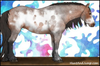 Horse Color:Bay Roan Frame 