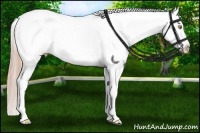 Horse Color:Gold Champagne Appaloosa and Gold Champagne Splash Appaloosa