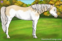 Horse Color:Silver Classic Champagne Dun Splash Frame 