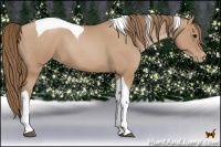 Horse Color:Blue Roan Pearl Tobiano 