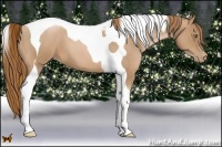 Horse Color:Red Roan Pearl Tobiano