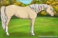 Horse Color:Silver Classic Champagne Dun Splash Frame 