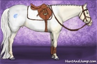 Horse Color:Silver Amber Cream Champagne Roan Dun Appaloosa Rabicano 