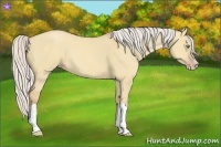 Horse Color:Silver Classic Champagne Dun Splash Frame 
