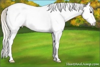 Horse Color:Silver Smoky Black Splash Tobiano 