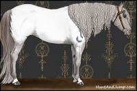 Horse Color:Liver Chestnut Near Fewspot 
