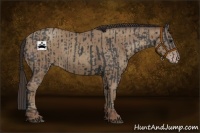 Horse Color:Black  and Classic Champagne 