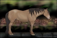 Horse Color:Classic Champagne 