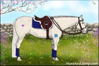 Horse Color:Cremello 