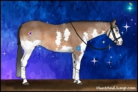 Horse Color:Bay Splash Rabicano 