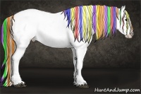 Horse Color:Painted White Spotted Black Varnish Rabicano 