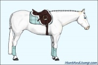 Horse Color:Silver Classic Cream Champagne Pearl Splash Tobiano Frame Rabicano