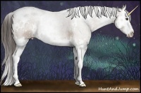 Horse Color:White Spotted Liver Chestnut Ice Splash 