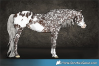 Horse Color:Silver Brown Frame Appaloosa 