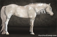 Horse Color:White Spotted Chocolate Palomino Pearl 