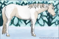 Horse Color:Smoky Creme Tobiano 