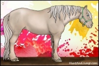 Horse Color:Chocolate Palomino Pearl 