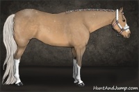Horse Color:Silver Buckskin 