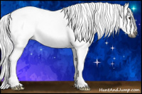 Horse Color:Gray Smoky Grullo Ice Splash