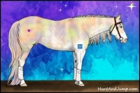 Horse Color:Nacre Gold Cream Champagne Dun Sabino