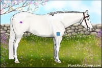 Horse Color:Cremello Sabino Tobiano Rabicano 