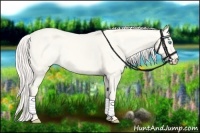 Horse Color:Cremello Dun