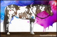 Horse Color:White Spotted Liver Chestnut 