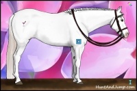 Horse Color:White Spotted Chocolate Palomino Varnish 