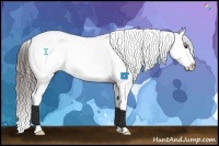 Horse Color:Liver Chestnut Tobiano Appaloosa 