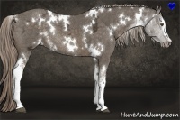 Horse Color:White Spotted Chocolate Palomino Ice Rabicano