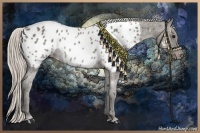 Horse Color:Silver Black Sabino Blanket