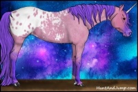 Horse Color:Watercolor Grullo Roan Appaloosa