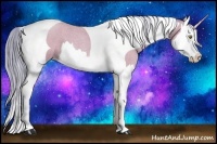 Horse Color:Watercolor Amber Champagne Roan Splash Tobiano