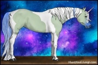 Horse Color:Watercolor Grullo Tobiano