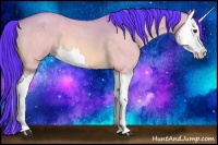 Horse Color:Watercolor Buckskin Roan Dun Splash