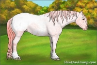 Horse Color:Watercolor Liver Red Ice Roan Appaloosa 