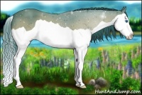 Horse Color:Watercolor Bay Splash