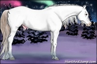 Horse Color:Liver Chestnut Frame Appaloosa