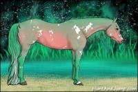 Horse Color:Watercolor White Spotted Bay 