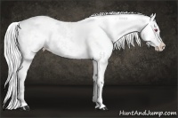 Horse Color:Silver Smoky Creme Chinchilla Sabino