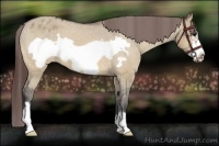 Horse Color:Bay Dun Frame Varnish 