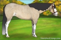 Horse Color:Bay Roan Dun Sabino Splash Rabicano