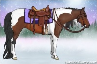 Horse Color:Bay Tobiano 